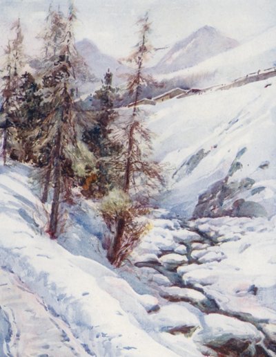  by Effie Jardine