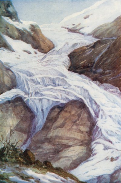  by Effie Jardine