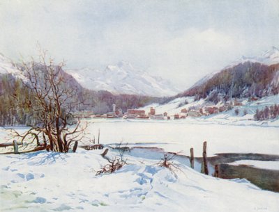  by Effie Jardine