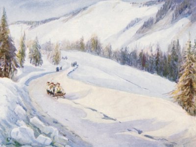  by Effie Jardine