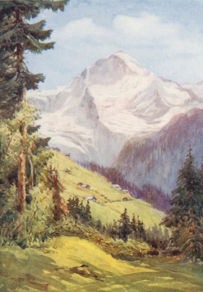 by Effie Jardine
