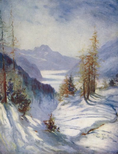  by Effie Jardine