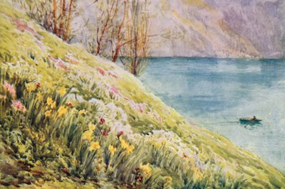  by Effie Jardine