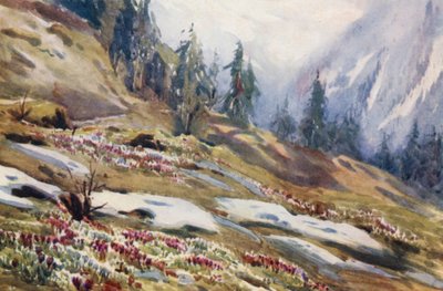 İsviçre by Effie Jardine