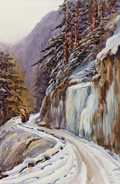  by Effie Jardine