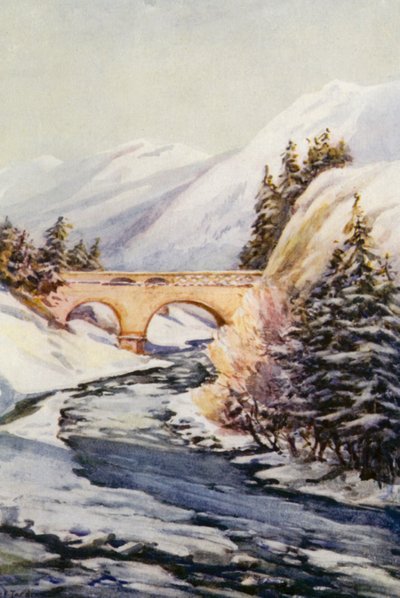  by Effie Jardine