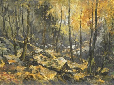 Kayalar denizi by Egbert Schaap