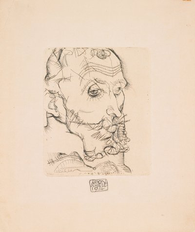 Franz Hauer