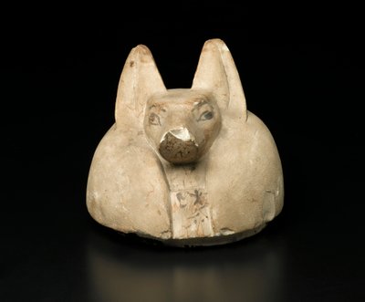 Kanopik bir kavanozun çakal başlı kapağı (kireçtaşı) by Egyptian