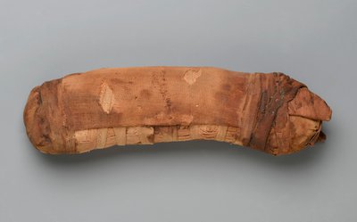 Bir kedinin mumyası (hayvan kalıntıları ve keten) by Egyptian