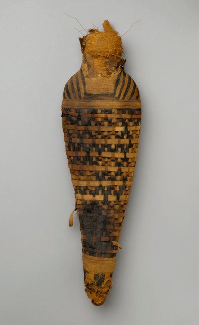 Bir şahin mumyası (hayvan kalıntıları ve keten) by Egyptian