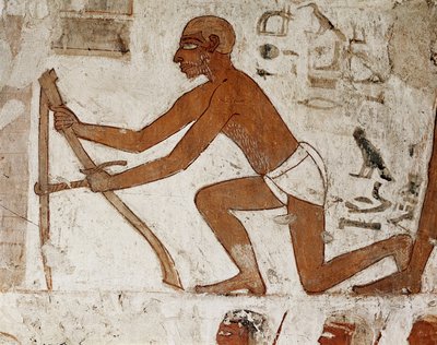 Firavun III. Thutmes ve II. Amenophis (18. hanedan MÖ 1500-1292) döneminde Teb valisi ve vezir Rekhmire