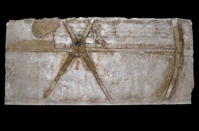 Bir araba tekerleği tasviri ile oyulmuş ve boyanmış kireçtaşı blok, MÖ 1353-35 (kireçtaşı) by Egyptian 18th Dynasty