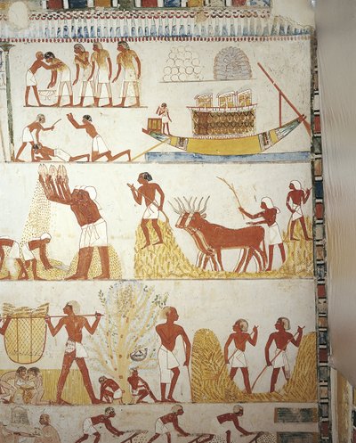 Mısır, Teb, Luksor, Şeyh Abdül Qurna, Kraliyet emlak amiri Menna