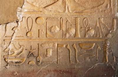 Mısır antikası: uzun ömür ve refahı temsil eden kartuş ve hiyeroglifli bir yazıtın detayı. Kraliçe Hatshepsut