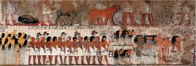 Mısır antikası: ağlayan cenaze sahnesi. Ramose Mezarı (MÖ 1411-1375), Thebes valisi ve vezir, IV. Amenophis saltanatının başlangıcı. Gournah Nekropolü (Sheikh Abd el-Gournah), Mısır - Eski Mısır: bir cenaze töreninde yas tutanlar. Tom by Egyptian 18th Dynasty
