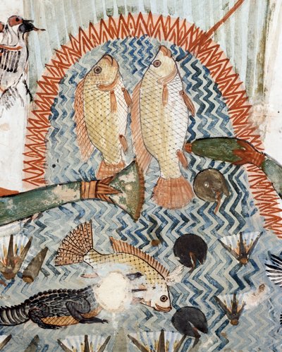 Balık, bataklıklarda avlanma ve balık tutma sahnesinden detay, fresk, kuzey duvarı, boyuna oda, Theban Mezarı TT69, Şeyh Abd el-Qurna, Thebes (Unesco Dünya Mirası Listesi) by Egyptian 18th Dynasty