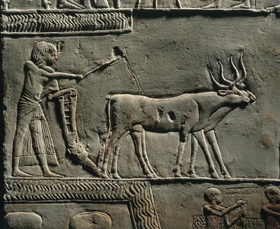  by Egyptian 18th Dynasty