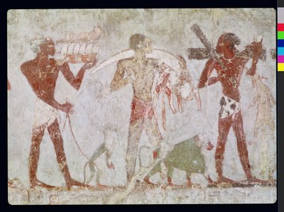 Tuthmosis III ve Amenhotep II