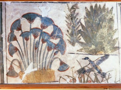  by Egyptian 18th Dynasty