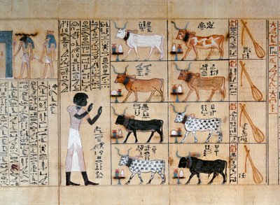  by Egyptian 18th Dynasty