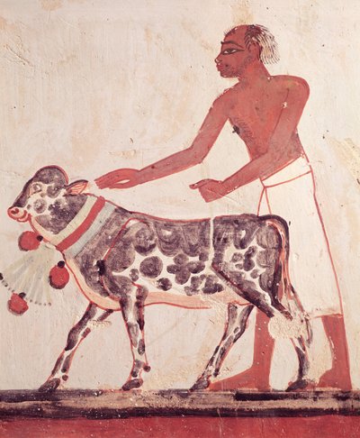 Menna Mezarı