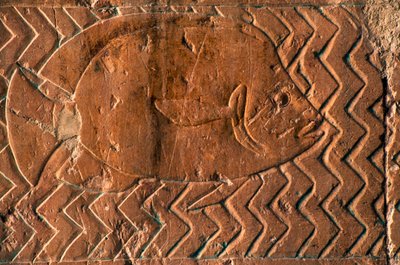 Balık temsili, Punt Krallığı sahneleri, merkezi sütunlu güney duvarı, Hatshepsut Morg Tapınağı, Deir el-Bahari, Luxor, Thebes (Unesco Dünya Mirası Listesi) by Egyptian 18th Dynasty