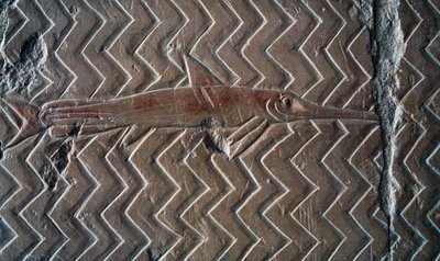 Balık temsili, Punt Krallığı sahneleri, merkezi sütunlu güney duvarı, Hatshepsut Morg Tapınağı, Deir el-Bahari, Luxor, Thebes (Unesco Dünya Mirası Listesi) by Egyptian 18th Dynasty