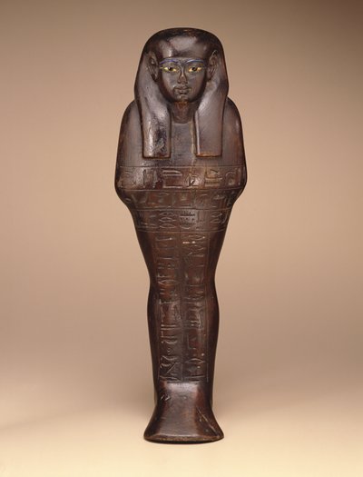 Shawabti of Maya, Yeni Krallık, MÖ 1390-1353 (ahşap, boya ve cam) by Egyptian 18th Dynasty