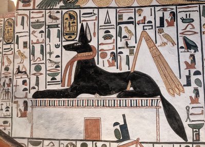 Anubis Mezarı Nefertari (duvar resmi) by Egyptian 19th Dynasty