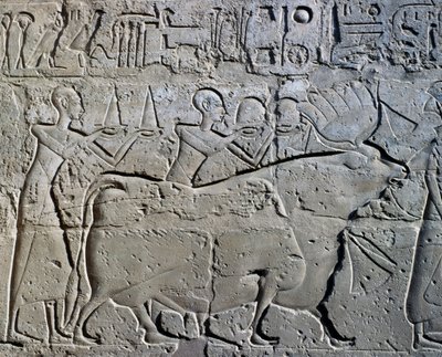  by Egyptian 19th Dynasty