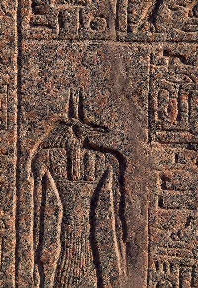 Anubis#39;in tasviri, Anubis ve başka bir Tanrı#39;nın yazıtının ve kabartmasının detayı, Amenhotep#39;in lahiti, Memphis (Unesco Dünya Mirası Listesi) by Egyptian 19th Dynasty