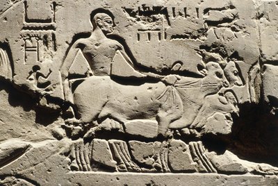  by Egyptian 19th Dynasty