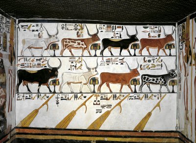Mısır, Teb, Luksor, Kraliçeler Vadisi, Nefertari Mezarı, antrenin eki, Duvar resimleri, Resimli Ölüler Kitabı, Bölüm 89 by Egyptian 19th Dynasty