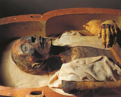  by Egyptian 19th Dynasty