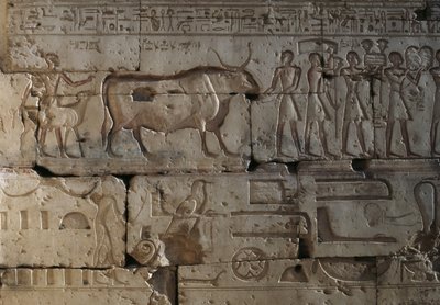 Rölyef, II. Ramses Tapınağı, Abydos, Mısır, Mısır uygarlığı, Yeni Krallık, XIX. Hanedan (fotoğraf) by Egyptian 19th Dynasty