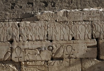 Rölyef, II. Ramses Tapınağı, Abydos, Mısır, Mısır uygarlığı, Yeni Krallık, XIX. Hanedan (fotoğraf) by Egyptian 19th Dynasty