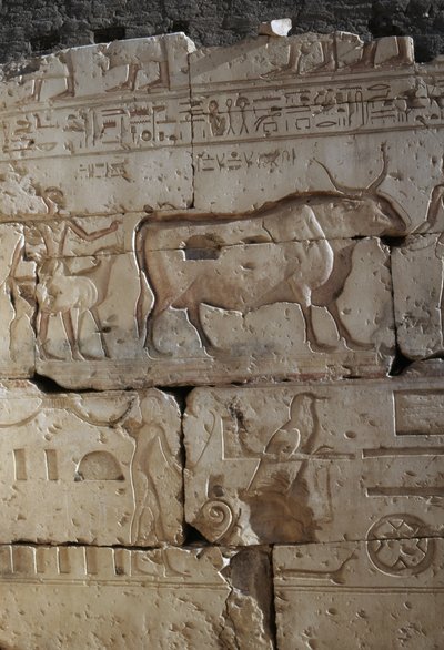 Rölyef, II. Ramses Tapınağı, Abydos, Mısır, Mısır uygarlığı, Yeni Krallık, XIX. Hanedan (fotoğraf) by Egyptian 19th Dynasty