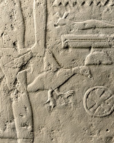 Pehenuka kabartma detayı, Eski Krallık, MÖ 2465-2323 (kireçtaşı) (ayrıca bkz. 440560, 440566, 440559 ve 440564) by Egyptian 5th Dynasty
