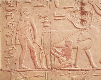 Eski Krallık, Kagemni Mastaba