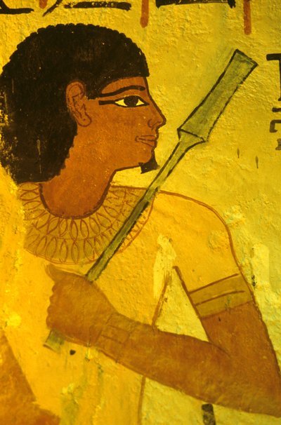  by Egyptian Egyptian