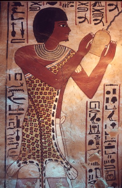  by Egyptian Egyptian