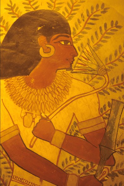  by Egyptian Egyptian