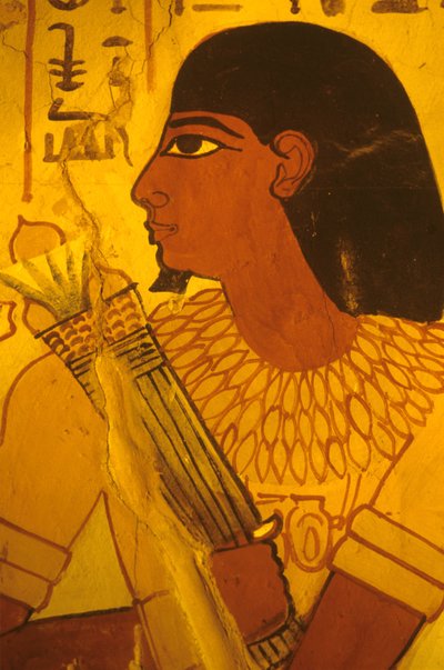  by Egyptian Egyptian