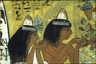  by Egyptian Egyptian