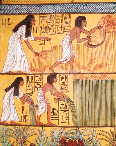 İşçi Köyü, Sennedjem Mezarı