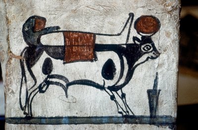  by Egyptian Egyptian