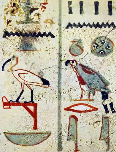  by Egyptian Egyptian