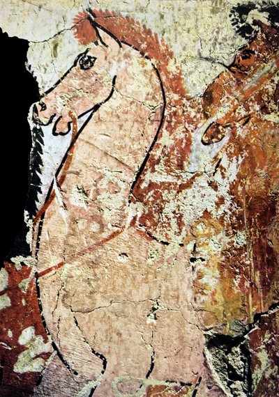  by Egyptian Egyptian