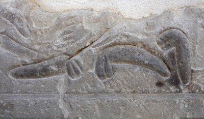 by Egyptian Egyptian